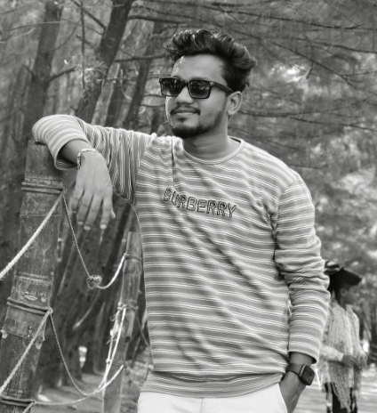 WordPress Developer